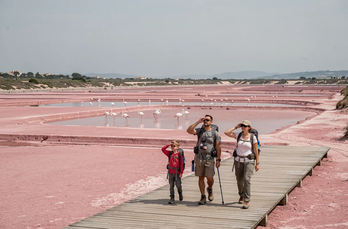 Famille observant des flamants roses dans les Salins d'Hyères